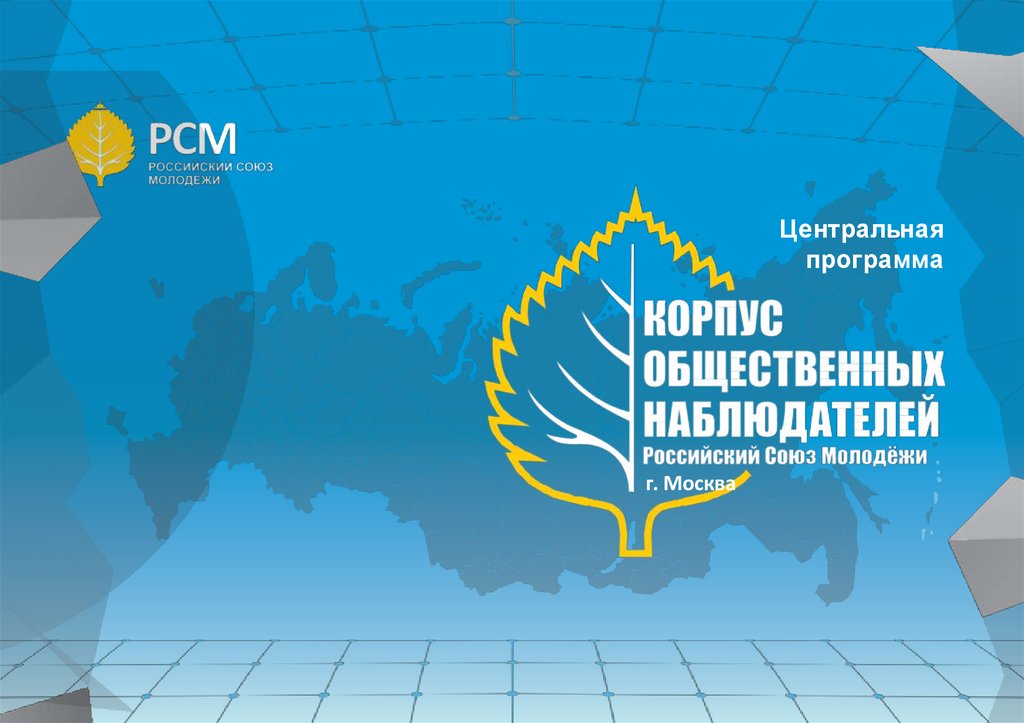 Корпус общественных наблюдателей